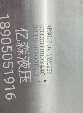 国产替代BLUE ASCEND土耳其AP30/AP20系列齿轮泵AP30.510.AAH02SN