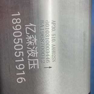 国产替代BLUE AP20系列齿轮泵AP30.510.AAH02SN ASCEND土耳其AP30