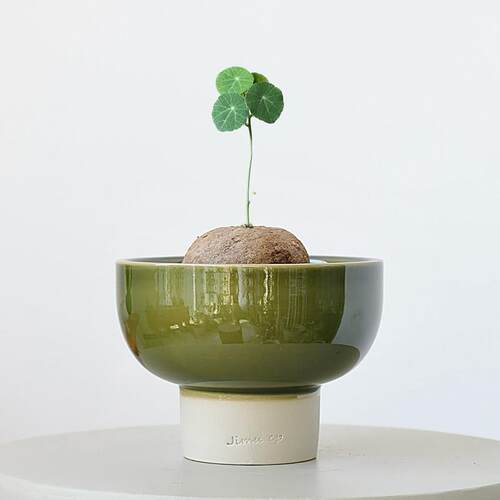 绿色苔藓球陶瓷花盆高脚多肉山乌龟块根植物大口径蕨类窑变釉陶盆