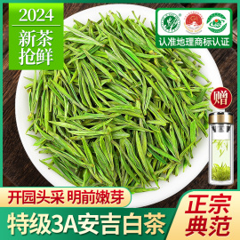 安吉白茶2024新茶特级3a春茶，明前绿茶正宗白茶，散装茶叶礼盒装500g