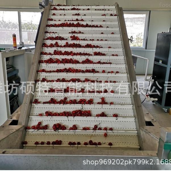 气泡喷淋风干清洗一体机可用于冬枣清洗风干设备厂家全自动