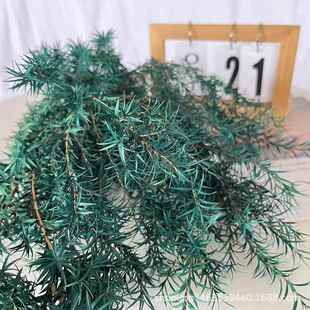 新款 直销永生千层金干花云南干花叶材花盒花束配花压花花材