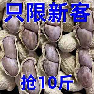 新花生龙岩水煮花生白晒干盐水煮咸干湿烤500gx1袋装 散熟零食五香