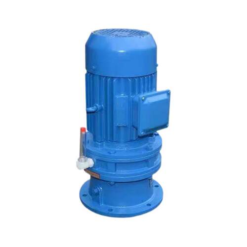 厂家供应立式摆线针轮减速机BLD2-23-2.2KW搅拌减速机减速器配件