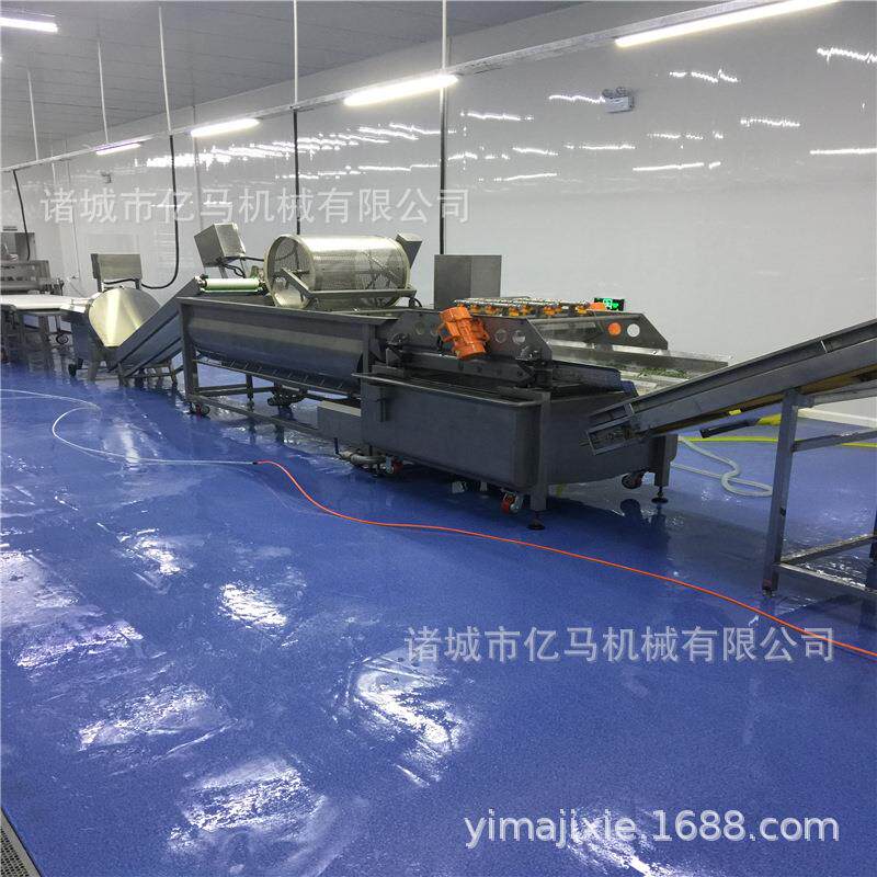 净菜震动式涡流清洗机厂涡流震动清洗机草莓清洗加工成套设备