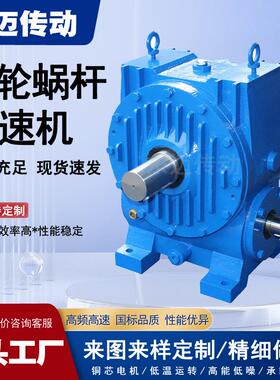 WD120型蜗轮减速机吊机立式起重用减速器WS150系列圆柱蜗杆减速机