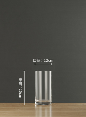 高花瓶插花长枝干花新款民宿养水干花桌面家用中古众复古鲜花小花