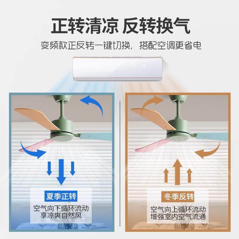 家用餐厅客厅电风扇卧室幼儿园静音吊顶电扇儿童房大风力无灯吊扇