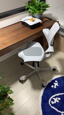 SB Seating电脑椅经历告诉我们能买这吗