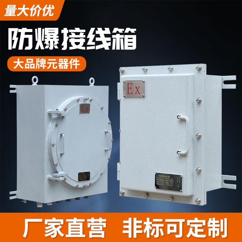 防爆配电箱仪表箱监控端子箱动力照明控制箱操作柱钢板不锈钢定制