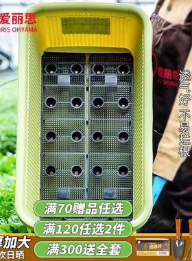 IRIS花盆阳台长方形大号家用塑料专用箱种菜盆蔬菜爱丽丝种植箱