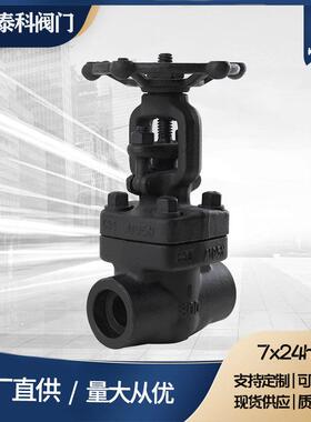 锻钢丝扣闸阀Z61Y手动耐高温耐高压蒸汽导热油承插焊电动执行机构