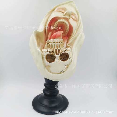 跨境Transfiguratio Mortis Statue 骷髅新郎新娘万圣节树脂摆件