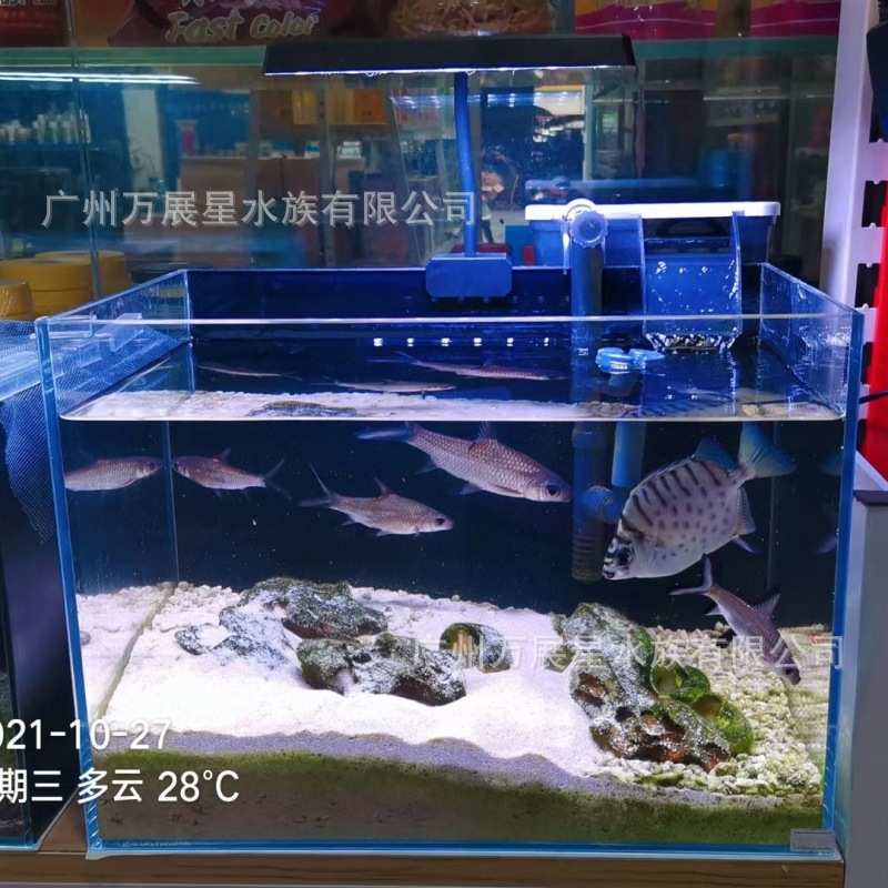 尼奥水草灯led全光谱s3plus专用级小型鱼缸灯迷你rgb植物灯爆藻灯