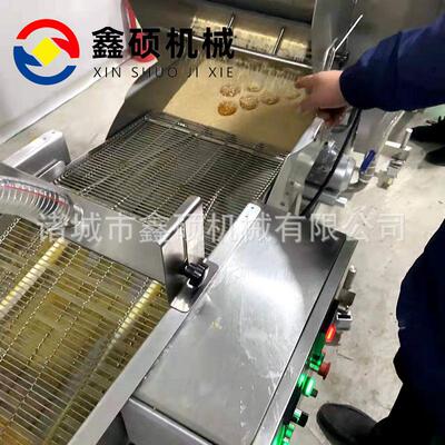 红薯条片状块状涂层机 机冻干草莓秋力葵流水线克涂巧IXF层上水机