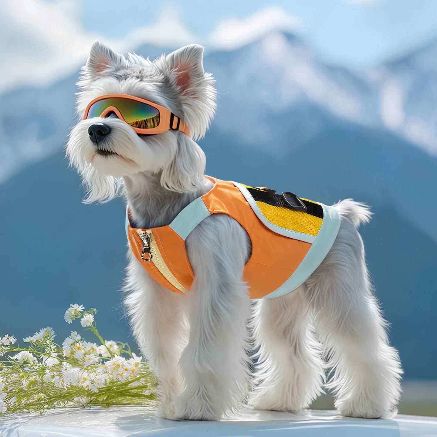 狗狗衣服春秋款可牵引马甲宠物雪纳瑞比熊泰迪约克夏柴犬酷帅背心