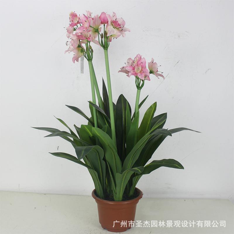 仿真水仙花盆栽 室内装饰仿真粉色水仙植物假花造景 阻燃仿真树
