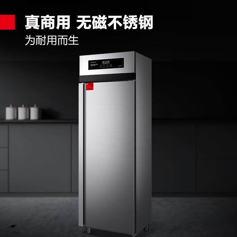 德玛仕 商用消毒柜二星级高温消毒不锈钢立式热风可调温单门高柜