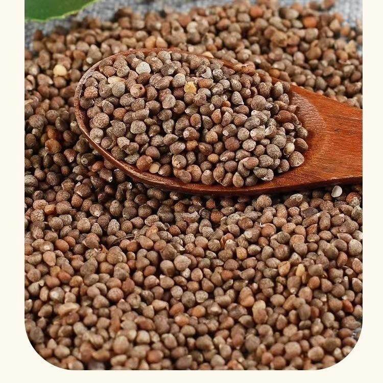 紫苏子 东北苏子 烧烤料 榨油原料 大粒苏子 月饼原料 熟苏子,粮油调味/速食/干货/烘焙,杂粮组合/膳食混合谷物,淘宝优惠券,粉丝福利购,淘宝优惠卷