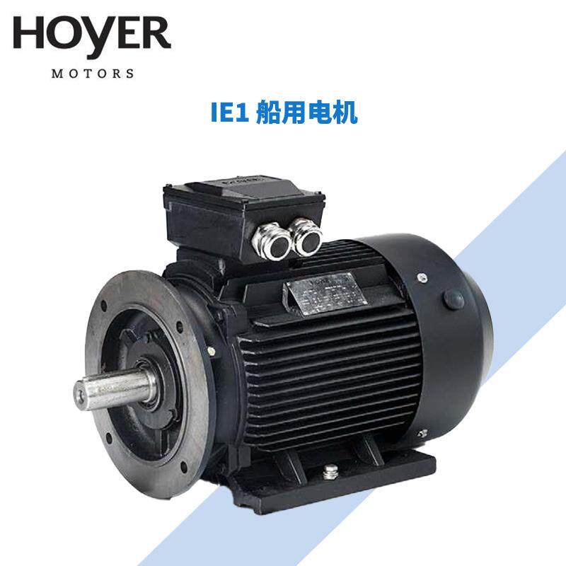 丹麦HOYERMotor三相异步电动机/船用/工业电机MS/Y2E2/HMA2/HMC