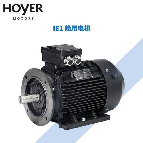 丹麦Motor三相异步电动机/船用/工业电机MS/Y2E2/HMA2/HMC3