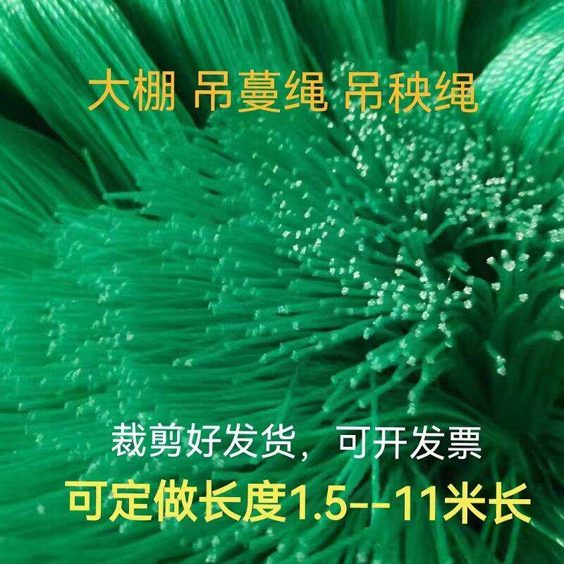 大棚蔬菜黄瓜吊秧绳番茄吊蔓绳辣椒吊绳尼龙吊秧线吊绳吊线