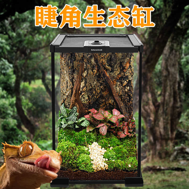 BG树栖睫角饲养箱宠物树蛙玻璃饲养缸雨林造景缸爬宠虫饲养盒