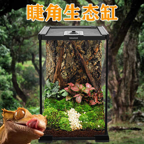 BG树栖睫角饲养箱宠物树蛙玻璃饲养缸雨林造景缸爬宠虫饲养盒