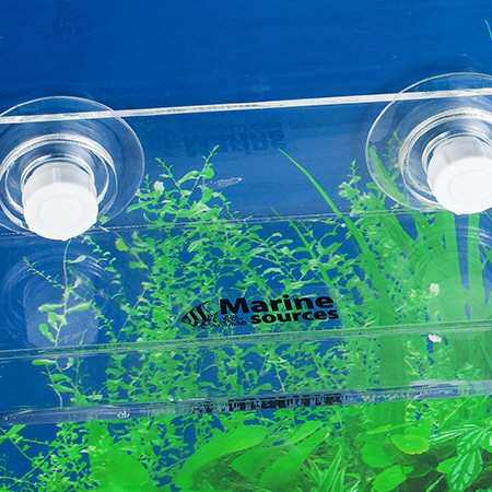 水草造景培育平台MB-240水草装饰支架 多功能珊瑚sps断枝架