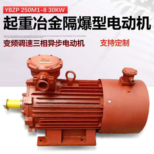 防爆电机YBZP250M1-8/30KW起重冶金隔爆型变频调速三相异步电动机