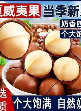 大颗粒夏威夷果500g袋装送开口器