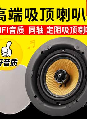 同轴定阻吸顶喇叭 5寸/6寸天花吊顶音响家庭背景音乐 吸顶喇叭