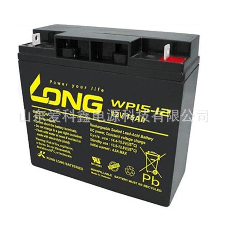 LONG蓄电池WP4.5-12 广隆蓄电池12v4.5ah 电子称免维护蓄电池