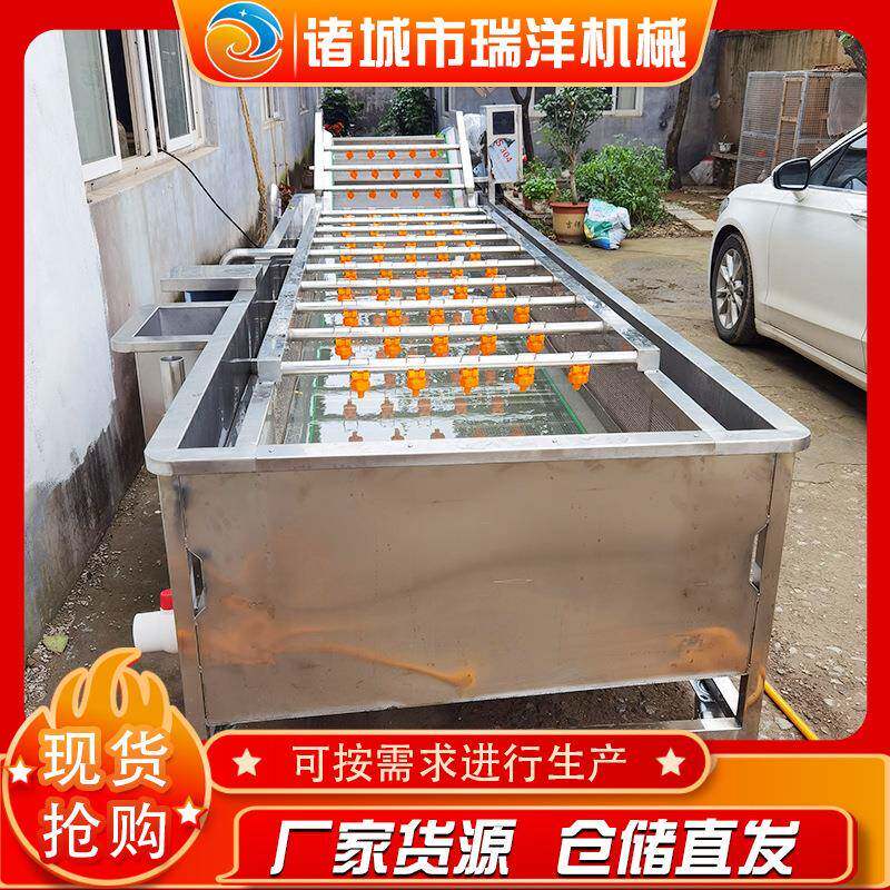 木耳清洗机蔬菜气泡清洗机就选诸城机械不锈钢制作果蔬