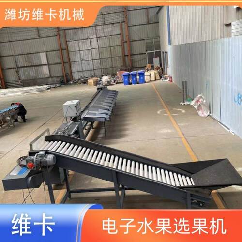 沃柑重量选果机橙子多功能称重分拣机