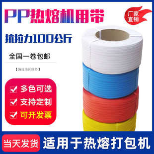 带黄色塑料带条捆绑带热熔白色蓝色机用半全自动 打包带红色pp包装
