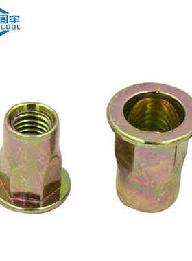 金固牢KCly-07彩锌六角拉铆螺母拉帽镀锌平头半六角螺母平头拉铆