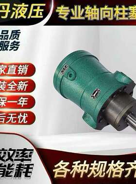 2.5MCY 5YCY 10MCY 25MCY 63MCY 80MCY 160MCY14-1B轴向柱塞泵