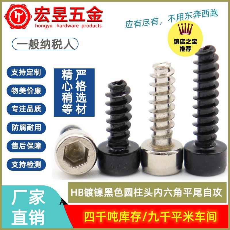 HB镀镍黑色圆柱头内六角平尾自攻杯头内六方平尾螺钉M2/M2.6/M3