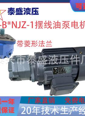 BB-B16NJZ-1/B25NJZ-1摆线齿轮油泵电机BB-B32N/B20/B40NJZ-1东高
