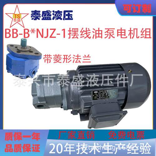 BB-B16NJZ-1/B25NJZ-1摆线齿轮油泵电机BB-B32N/B20/B40NJZ-1东高