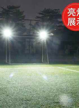 阳能灯户外庭院灯家用投光太灯L灯ED照明室内MY-003室外农村一拖