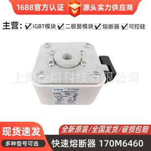 170M6460 170M6270 快速熔断器 保险丝 电子元器件 量大价优