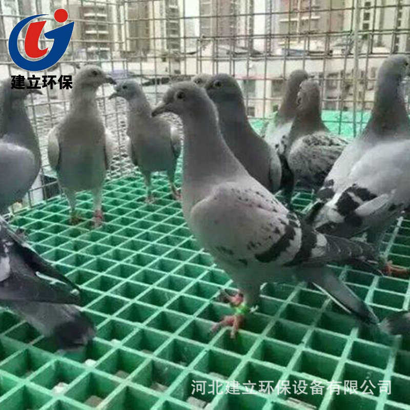 洗地网舍现货绿化盖板玻璃钢篦子车房下水道格栅树市政格栅鸽格栅