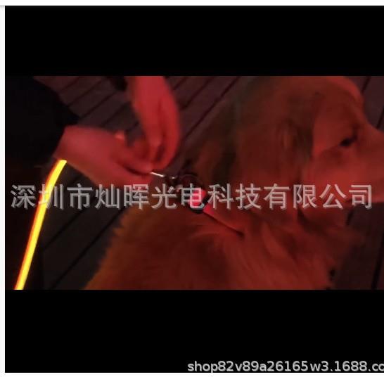 绳亚马逊爆款872夜光狗物狗牵引星图案猫月咪胸背带宠牵引绳防挣图片