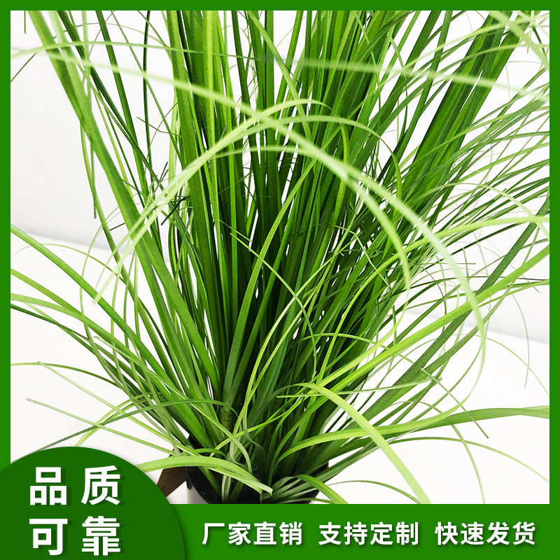 洋葱定制工艺品盆景草摆件盆栽绿物仿真造景仿生装饰品假植植芦苇