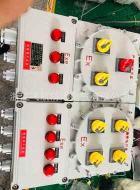 BXX防爆插销箱量大电议