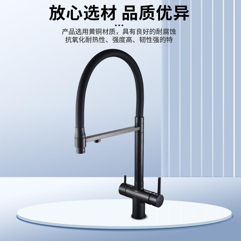 新款直销跨境枪灰色厨房水龙头净水器冷热全铜三合一直饮水槽净水