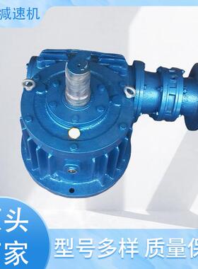 WHS210蜗杆减速器 厂家回转设备圆弧齿蜗杆减速器 WPA蜗杆减速器