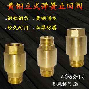 4分6分1寸外丝流向内丝立式黄铜止回阀弹簧单向阀水管逆止阀